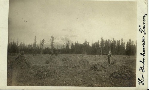 Making hay in the Glenwood Valley of Washington State in 1909. Mount Adams fills the skyline to the west. The worker in front appears to be Rosa Kuhnhausen.
