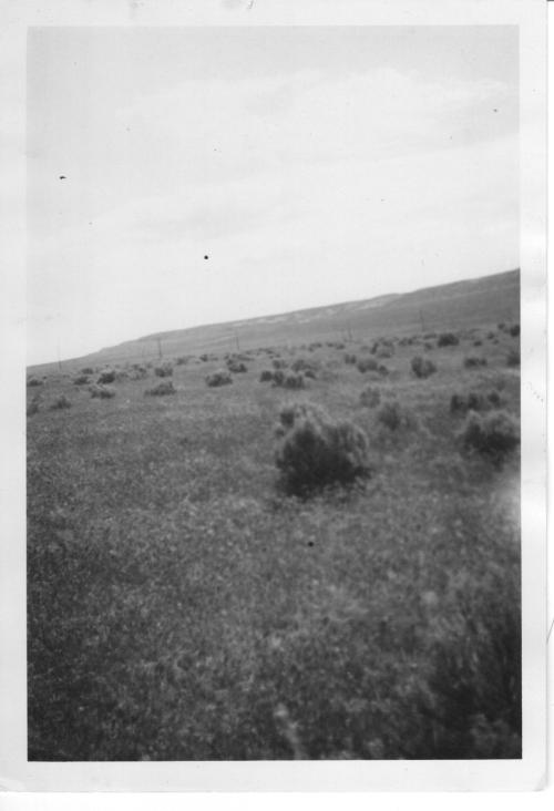 This gentle grassy slope is the site of the Walt Danielson farm on the verge of irrigation in the early 1950s.