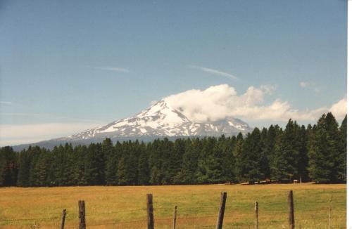 The view of Mount Adams from my property, two gates south of the home of Chief Justice W. O. Douglas.