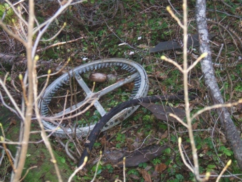 Metal debris from the Lumby balloon bomb was scattered across the forest floor. Photograph courtesy of Infonews.ca.